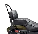 BACKREST PAD,XL883N 52300366