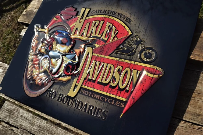 H-D NO BOUNDARIES HOG SIGN