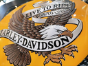 H-D LIVE TO RIDE EAGLE SIGN