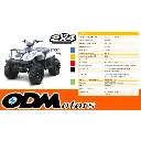 motocicleta-atv-odm-300.webp
