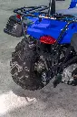 _Y1A8240.webp