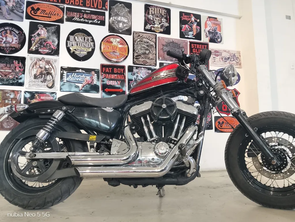 HARLEY-2.webp