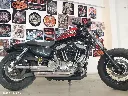 HARLEY-2.webp