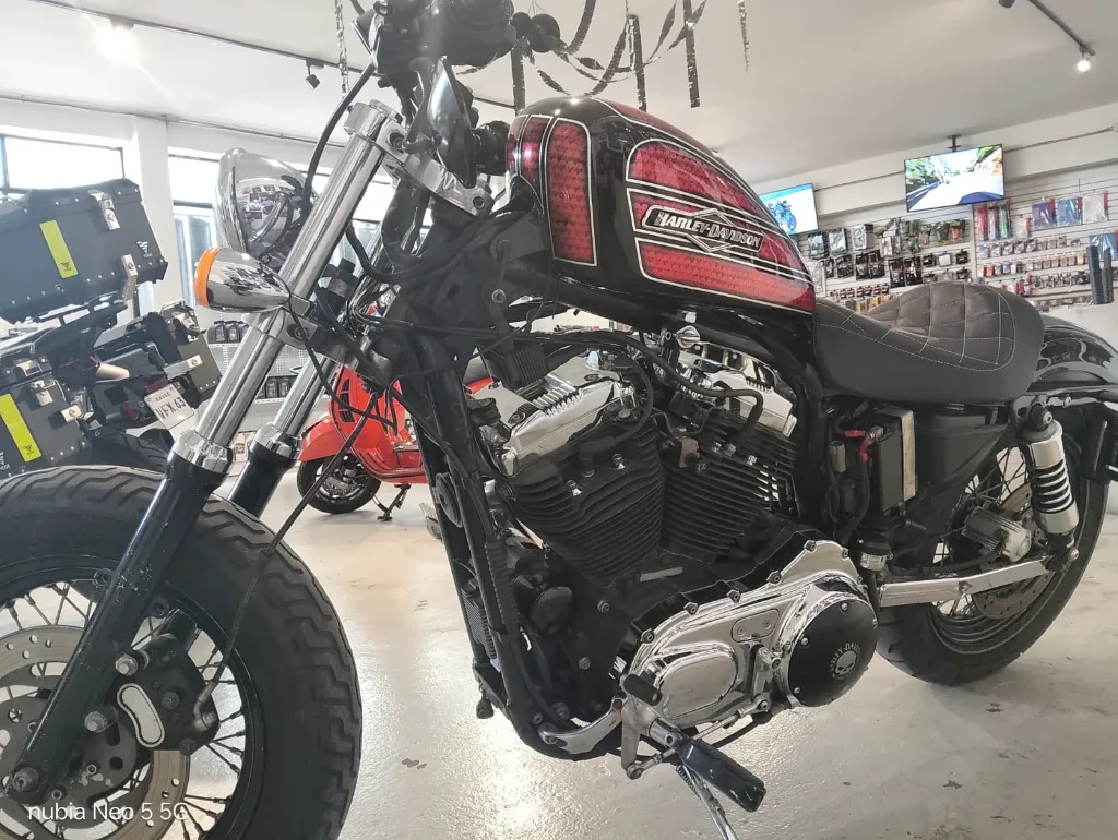 HARLEY-3.webp