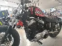 HARLEY-3.webp