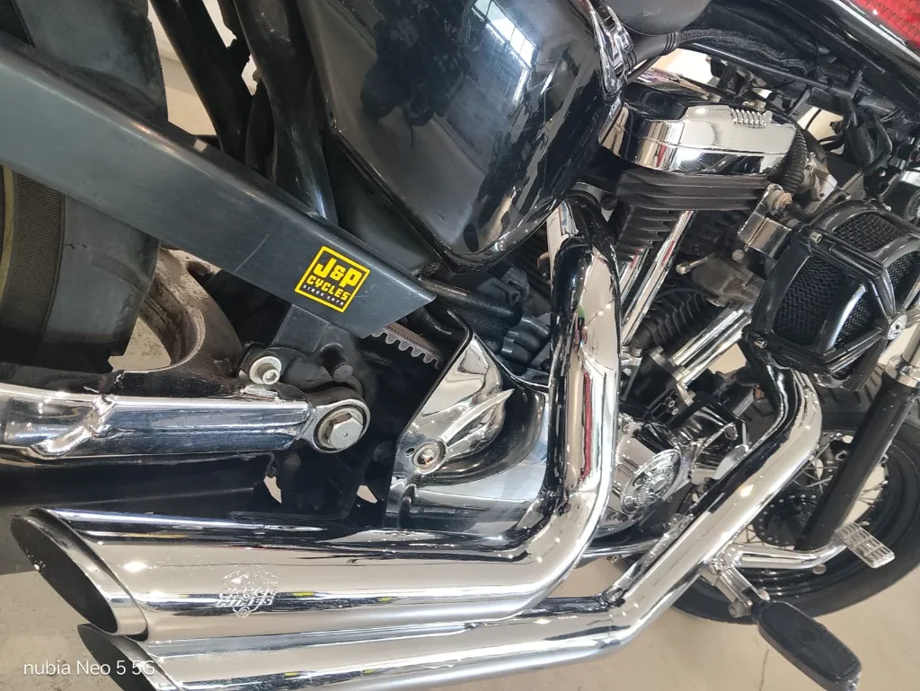 HARLEY-7.webp
