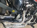 HARLEY-7.webp