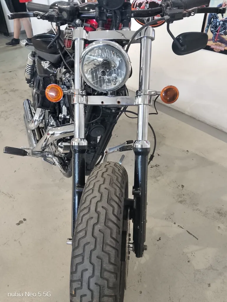 HARLEY-4.webp
