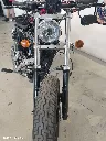 HARLEY-4.webp