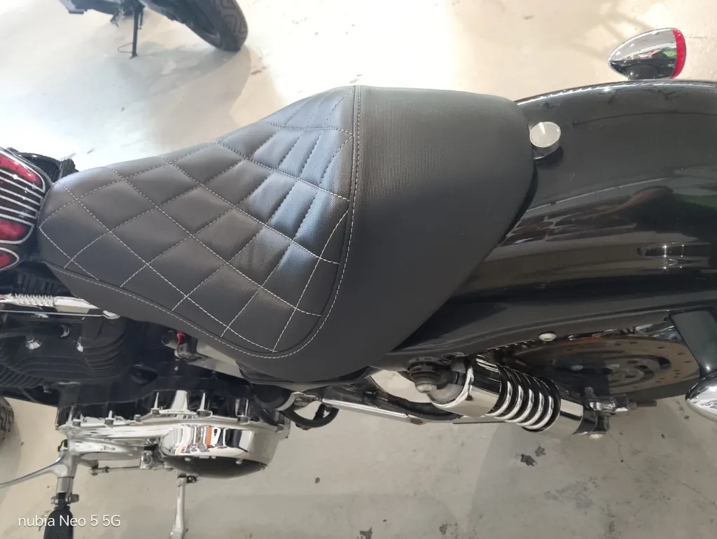 HARLEY-6.webp