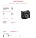 BATERIA YUASA YTX20L-BS 