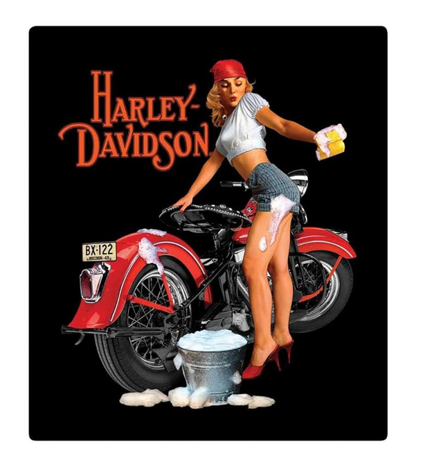 [2010371] H-D WASH BABE SIGN