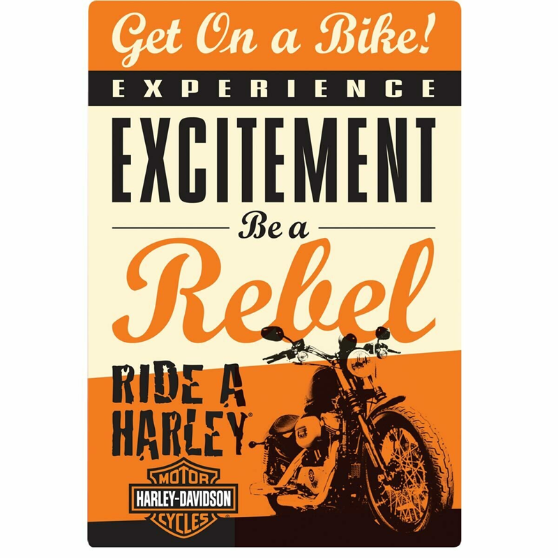 [2010411] H-D GET ON BIKE SIGN