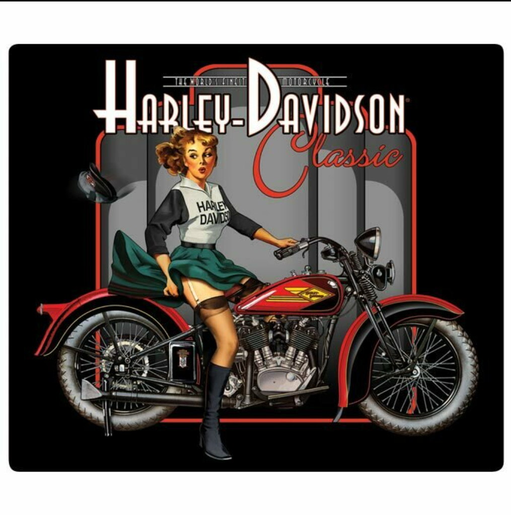 [2010601] H-D CLASSIC PIN UP BABE SIGN