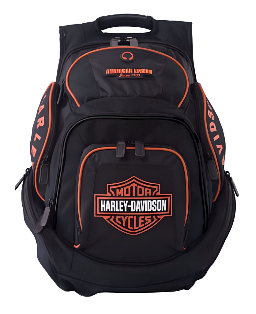 B&S Delux Back Pack