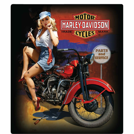 [2010401] H-D FIXER UP BABE SIGN
