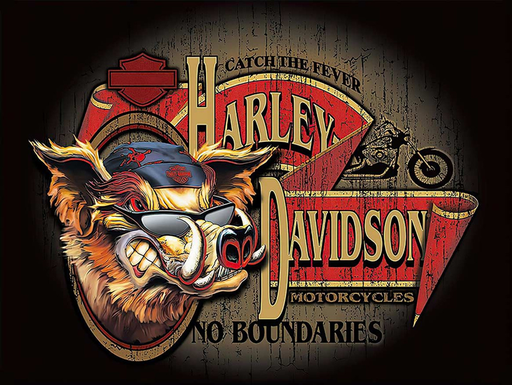 [2010491] H-D NO BOUNDARIES HOG SIGN