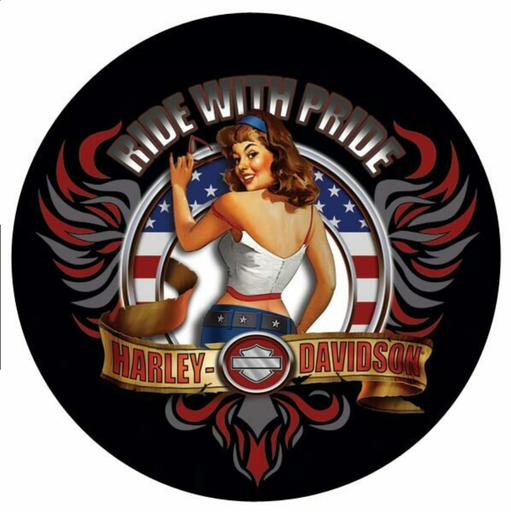 [2010571] H-D AMERICAN BABE RND SIGN