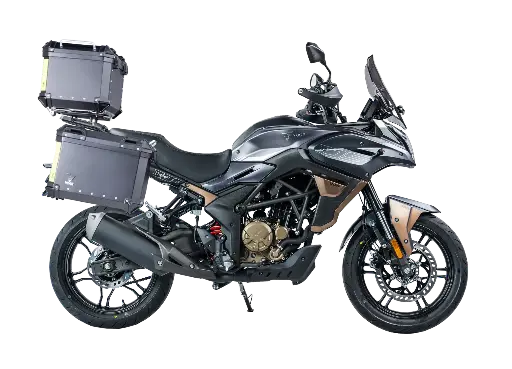 [300DSSEPLATA] VOGE 300 DS SE PLATA